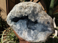 Natural Celestite Geode Specimens x 1 From Sakoany, Madagascar