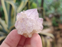 Natural Amethyst Spirit Quartz Clusters x 35 From South Africa