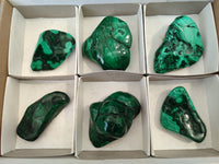 Polished Flower Banded Malachite Free Forms x 6 From Congo