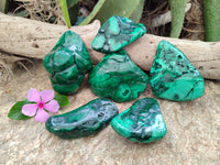 Polished Flower Banded Malachite Free Forms x 6 From Congo