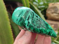 Polished Flower Banded Malachite Free Forms x 6 From Congo