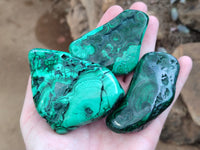 Polished Flower Banded Malachite Free Forms x 6 From Congo