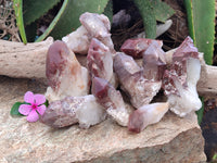 Natural Red Hematoid Quartz Clusters x 6 From Karoi, Zimbabwe