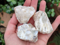 Natural Dendritic Opal Cobbed Specimens x 24 From Namibia