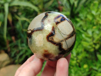 Polished Septerye Spheres x 4 From Mahajanga, Madagascar