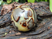 Polished Septerye Spheres x 4 From Mahajanga, Madagascar