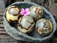 Polished Septerye Spheres x 4 From Mahajanga, Madagascar