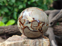 Polished Septerye Spheres x 4 From Mahajanga, Madagascar