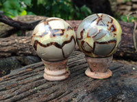 Polished Septerye Spheres x 4 From Mahajanga, Madagascar