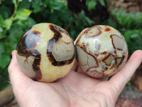 Polished Septerye Spheres x 4 From Mahajanga, Madagascar