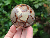 Polished Septerye Spheres x 4 From Mahajanga, Madagascar