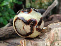 Polished Septerye Spheres x 4 From Mahajanga, Madagascar