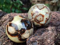 Polished Septerye Spheres x 4 From Mahajanga, Madagascar