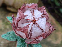 Hand Made Gemstone Protea Flower Trees x 3 From South Africa