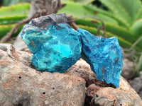 Natural Shattuckite with Chrysocolla and Malachite x 2.68 Kg Lot From Kaokoveld, Namibia