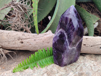 Polished Chevron Amethyst Point x 1 From Zambia