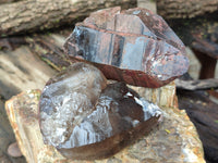 Natural Smokey Quartz Crystals x 6 From Malawi