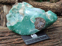 Polished Emerald Mtorolite Free Forms x 2 From Zimbabwe