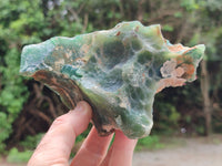 Polished Emerald Mtorolite Free Forms x 2 From Zimbabwe