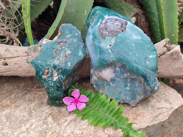 Polished Emerald Mtorolite Free Forms x 2 From Zimbabwe