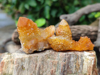 Natural Golden Solar Spirit Quartz Clusters x 20 From Boekenhouthoek, South Africa