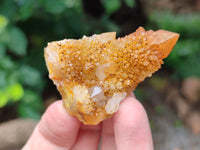 Natural Golden Solar Spirit Quartz Clusters x 20 From Boekenhouthoek, South Africa