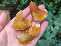 Natural Golden Solar Spirit Quartz Clusters x 20 From Boekenhouthoek, South Africa