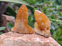 Natural Golden Solar Spirit Quartz Clusters x 20 From Boekenhouthoek, South Africa