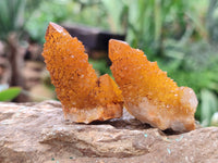 Natural Golden Solar Spirit Quartz Clusters x 20 From Boekenhouthoek, South Africa