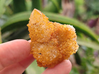 Natural Golden Solar Spirit Quartz Clusters x 20 From Boekenhouthoek, South Africa