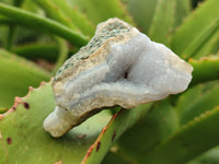 Natural Blue Lace Agate Geodes x 24 From Nsanje, Malawi