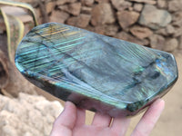 Polished Labradorite Standing Free Form x 1 From Tulear, Madagascar