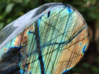 Polished Labradorite Standing Free Form x 1 From Tulear, Madagascar