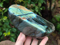 Polished Labradorite Standing Free Form x 1 From Tulear, Madagascar