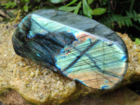 Polished Labradorite Standing Free Form x 1 From Tulear, Madagascar