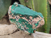 Natural Botryoidal Malachite Specimens x 6 From Tenke Fungurume, Congo