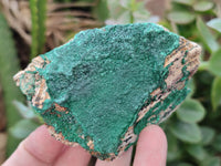 Natural Botryoidal Malachite Specimens x 6 From Tenke Fungurume, Congo