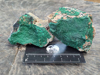 Natural Botryoidal Malachite Specimens x 6 From Tenke Fungurume, Congo