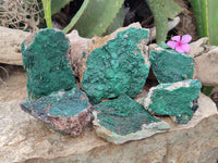 Natural Botryoidal Malachite Specimens x 6 From Tenke Fungurume, Congo