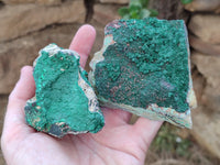 Natural Botryoidal Malachite Specimens x 6 From Tenke Fungurume, Congo