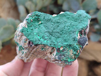 Natural Botryoidal Malachite Specimens x 6 From Tenke Fungurume, Congo