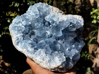 Natural Celestite Geode Specimens x 1 From Sakoany, Madagascar