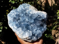 Natural Celestite Geode Specimens x 1 From Sakoany, Madagascar