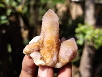 Natural Ametrine Spirit Quartz Crystals x 12 From Boekenhouthoek, South Africa