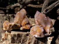 Natural Ametrine Spirit Quartz Crystals x 12 From Boekenhouthoek, South Africa