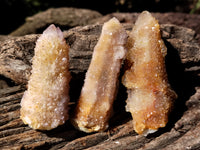 Natural Ametrine Spirit Quartz Crystals x 12 From Boekenhouthoek, South Africa