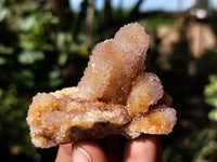 Natural Ametrine Spirit Quartz Crystals x 12 From Boekenhouthoek, South Africa