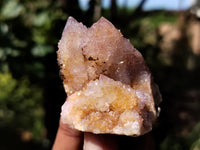 Natural Ametrine Spirit Quartz Crystals x 12 From Boekenhouthoek, South Africa