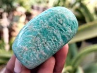 Polished Amazonite Palm Stones x 24 From Zimbabwe