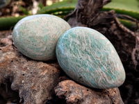 Polished Amazonite Palm Stones x 24 From Zimbabwe